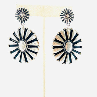 Fancy Earrings